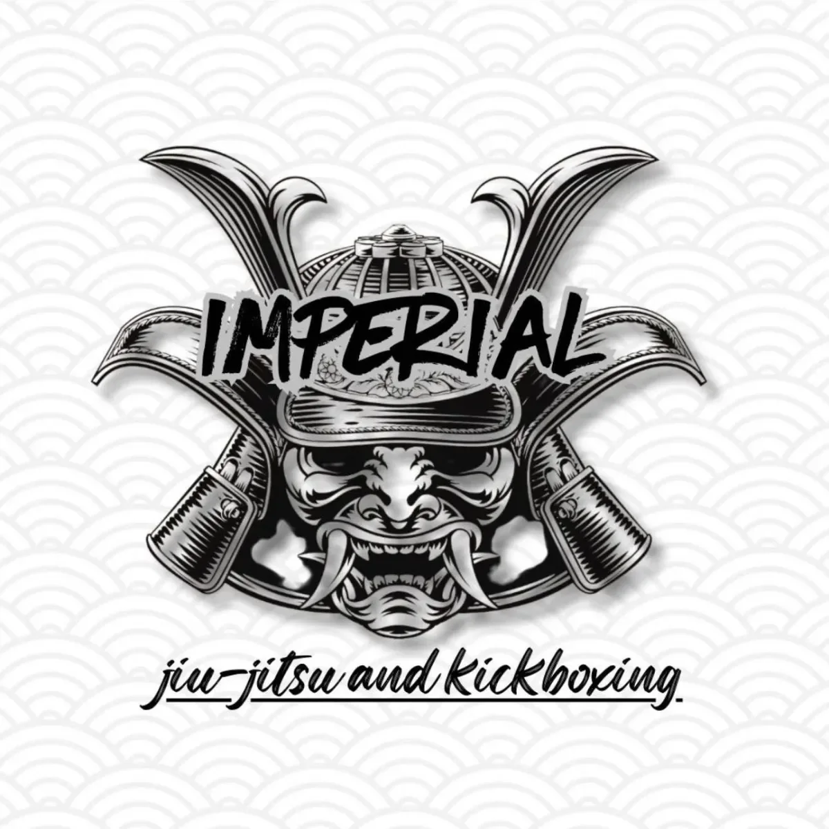 Imperial Jiu Jitsu & Kickboxing *SOUTH* academy photo