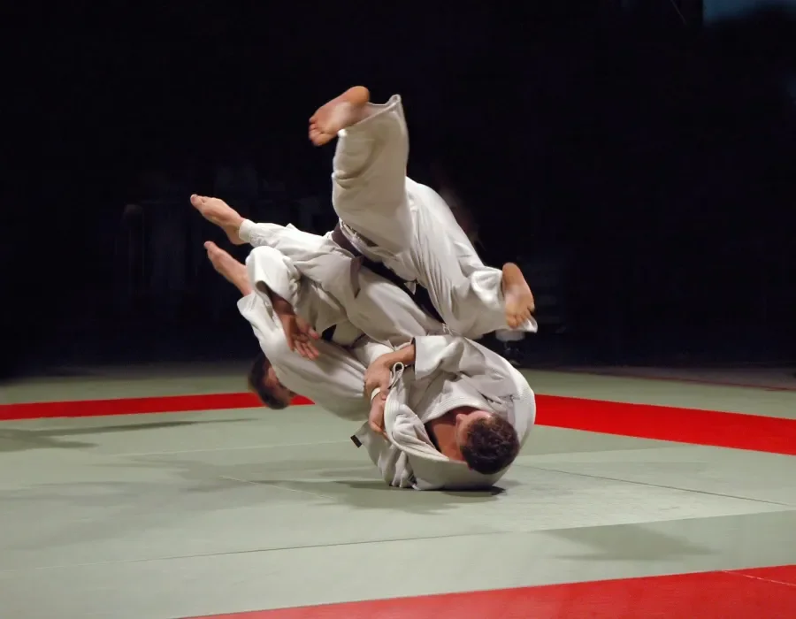 Inyodo Martial Arts academy photo