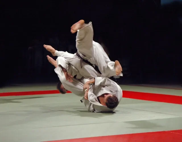 Inyodo Martial Arts academy photo