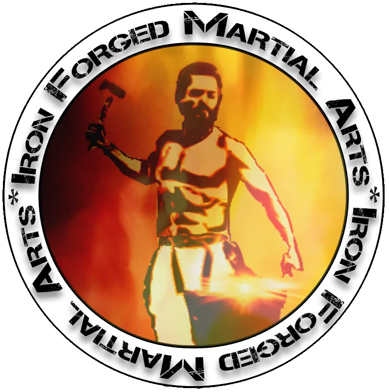 Iron Forged Martial Arts academy photo
