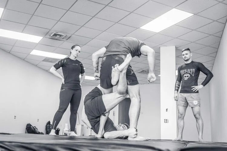 Iron Roots Brazilian Jiu Jitsu academy photo