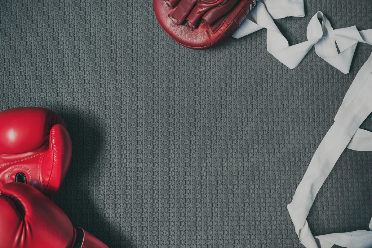 Mastering Martial Arts academy logo