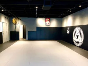 Mile High Gracie Jiu-Jitsu academy photo