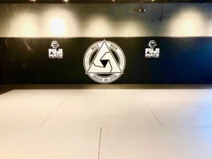 Mile High Gracie Jiu-Jitsu academy photo