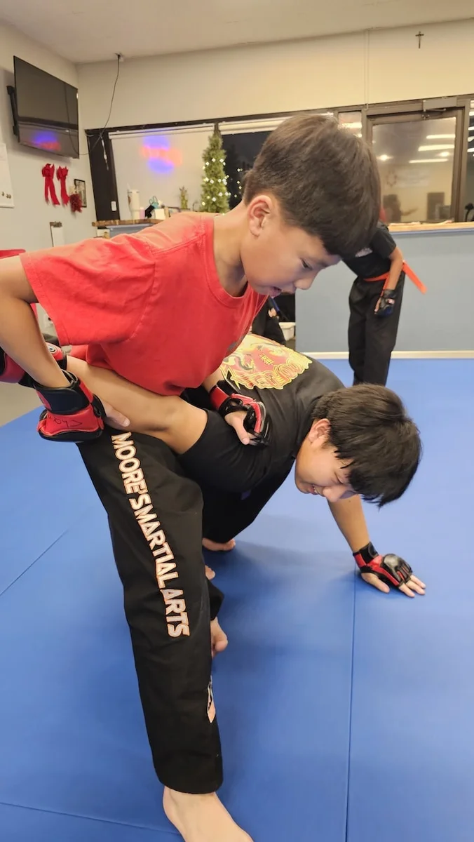 Moore's Martial Arts Academy visual