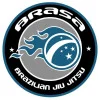 New Art Jiu-jitsu academy logo