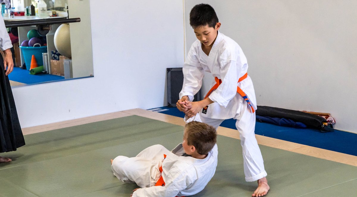 One Dojo visual