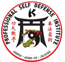 Professional Self Defense Institute academy photo