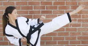 Red Dragon Martial Arts academy photo