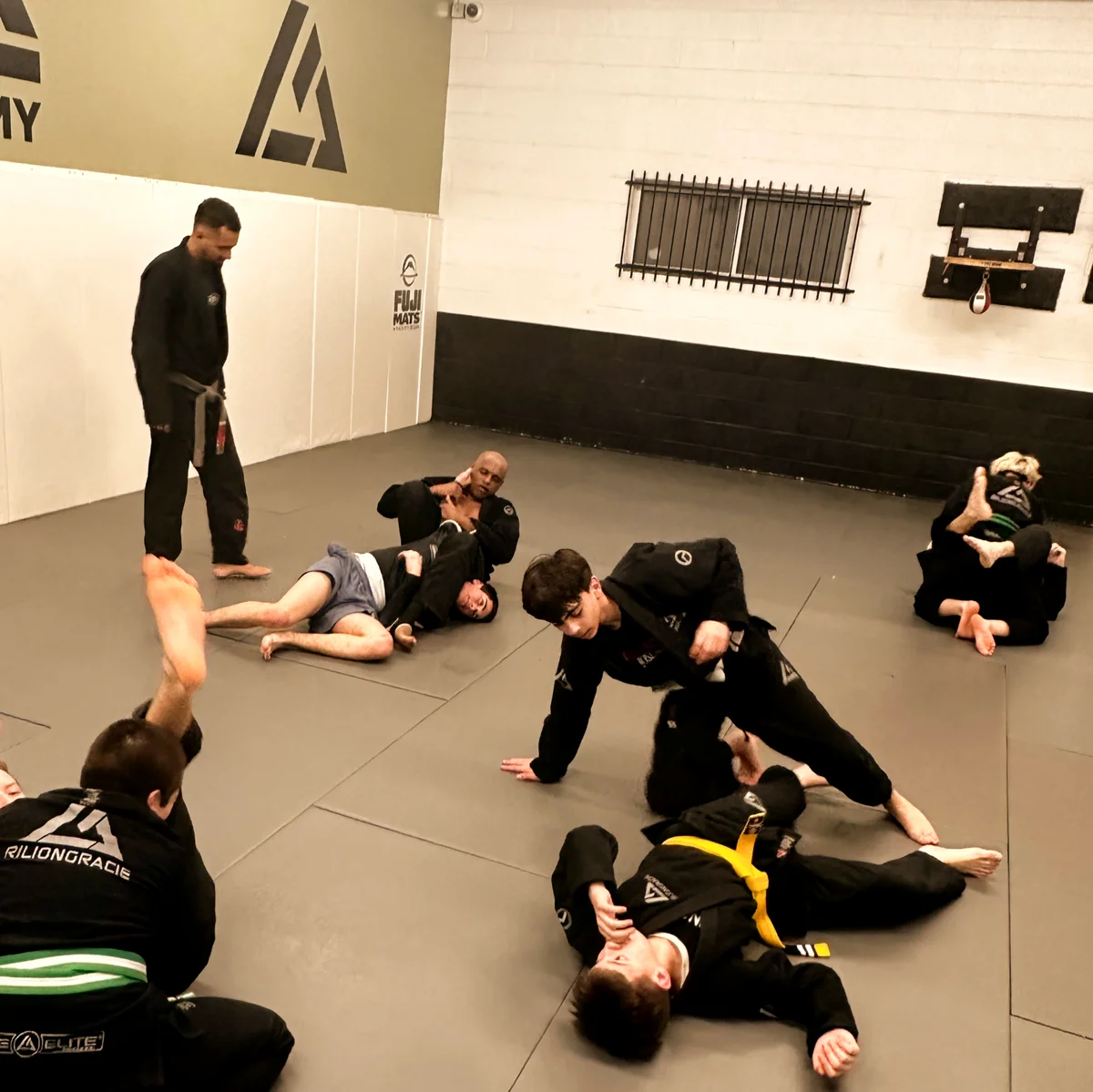 Rilion Gracie Jiu-Jitsu Academy academy photo