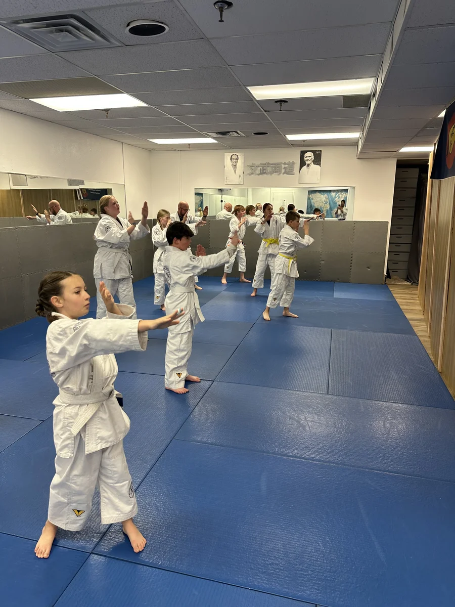 Self Defense Academy COS academy photo