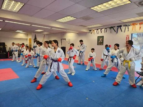 Shotokan Karate Dojo academy photo