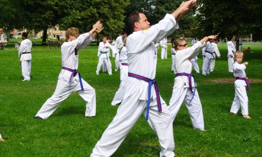 Tiger Kim's Academy academy photo