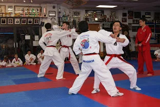 Tiger Kim's Academy academy photo