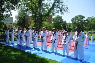Tiger Kim's Academy academy photo