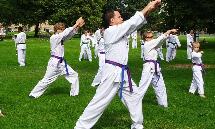 Tiger Kim's Academy academy photo