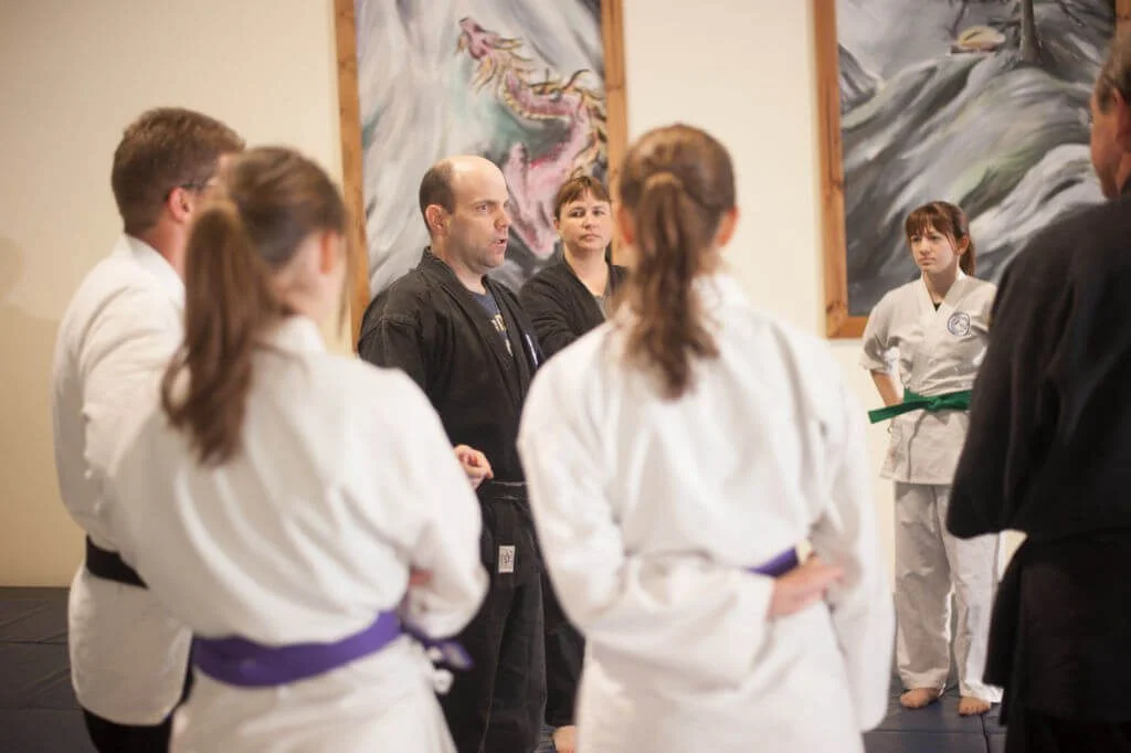 Total Ryu Martial Arts academy photo