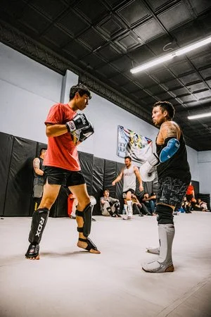 Warrior Built MMA academy photo