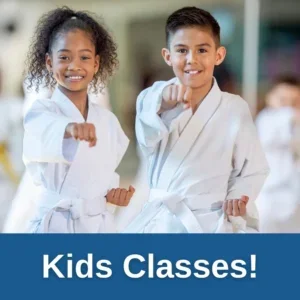 Warriors Martial Arts / Aurora's Best Summer Camp & Warriors Martial Arts academy photo