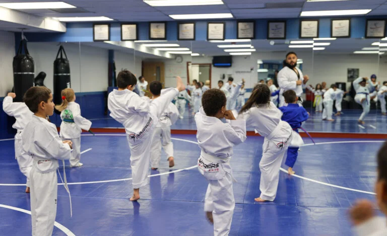 Warriors Martial Arts / Aurora's Best Summer Camp & Warriors Martial Arts academy photo