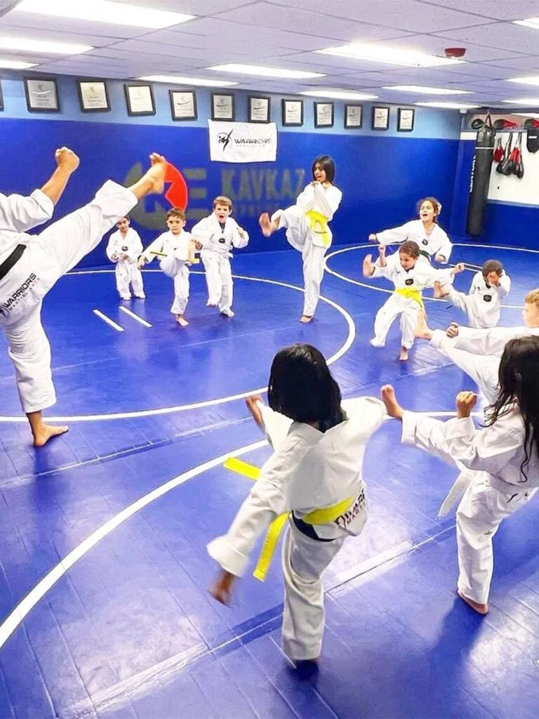 Warriors Martial Arts / Aurora's Best Summer Camp & Warriors Martial Arts academy photo
