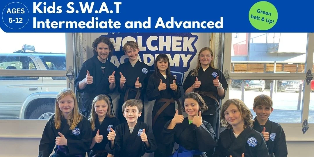 Wolchek Academy of Martial Arts academy photo