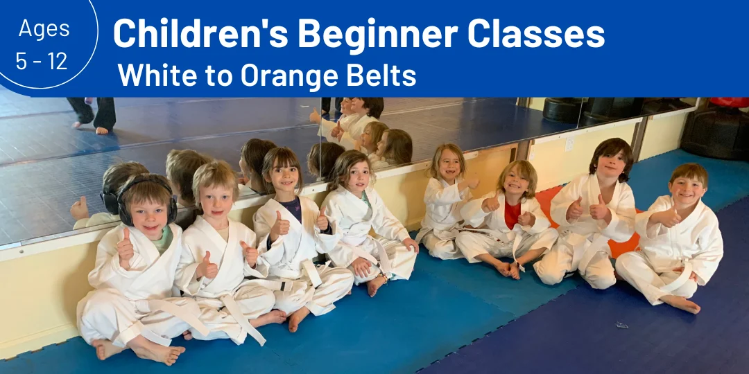 Wolchek Academy of Martial Arts visual