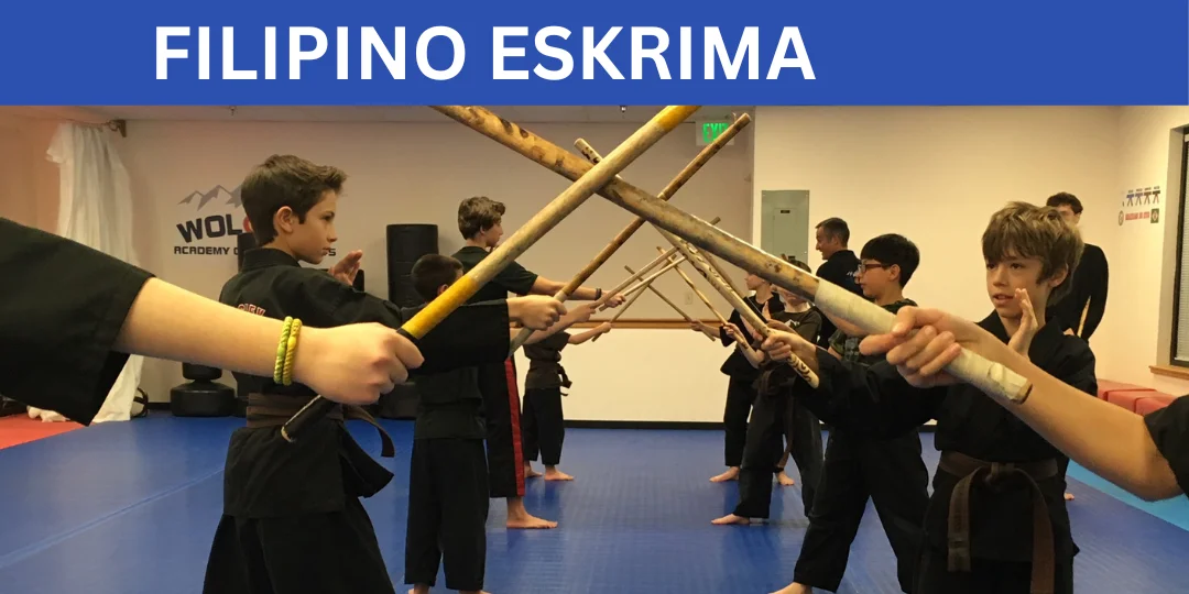 Wolchek Academy of Martial Arts academy photo