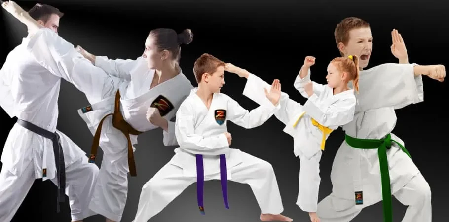 Z-Ultimate Self Defense Studios facility image
