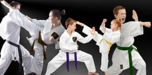Z-Ultimate Self Defense Studios facility image