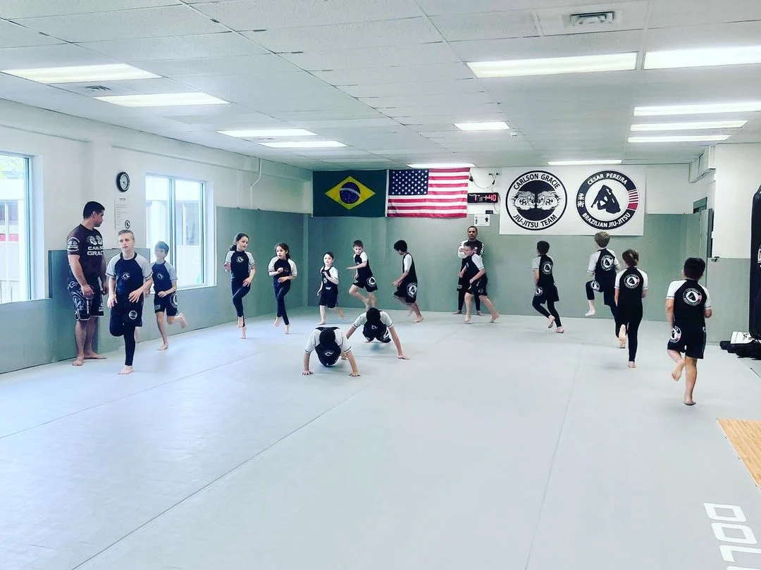 Carlson Gracie TEAM - CT/Cesar Pereira BJJ facility image