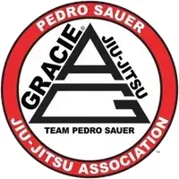 Bushido BJJ academy logo
