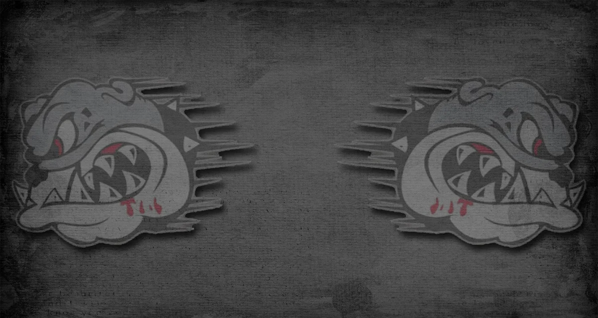 Carlson Gracie TEAM - CT/Cesar Pereira BJJ academy logo