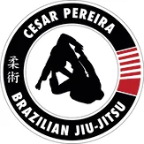 Carlson Gracie TEAM - CT/Cesar Pereira BJJ facility image