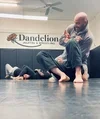 Dandelion Brazilian Jiu Jitsu and Wrestling facility image
