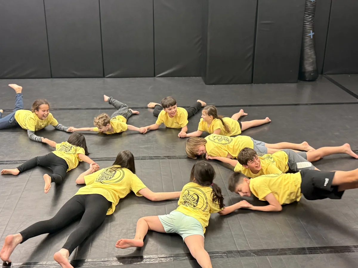 Dandelion Brazilian Jiu Jitsu and Wrestling facility image
