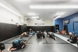 Dandelion Brazilian Jiu Jitsu and Wrestling facility image