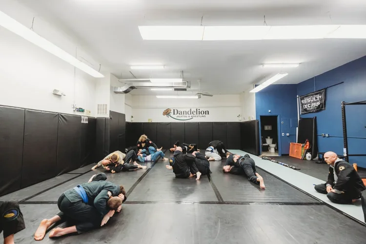 Dandelion Brazilian Jiu Jitsu and Wrestling facility image