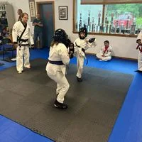 Danielson Martial Arts Academy LLC facility image