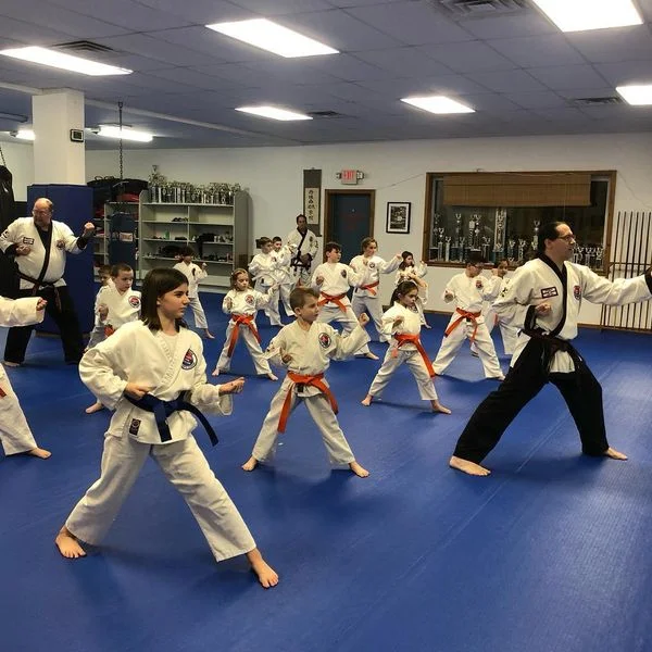 Danielson Martial Arts Academy LLC facility image