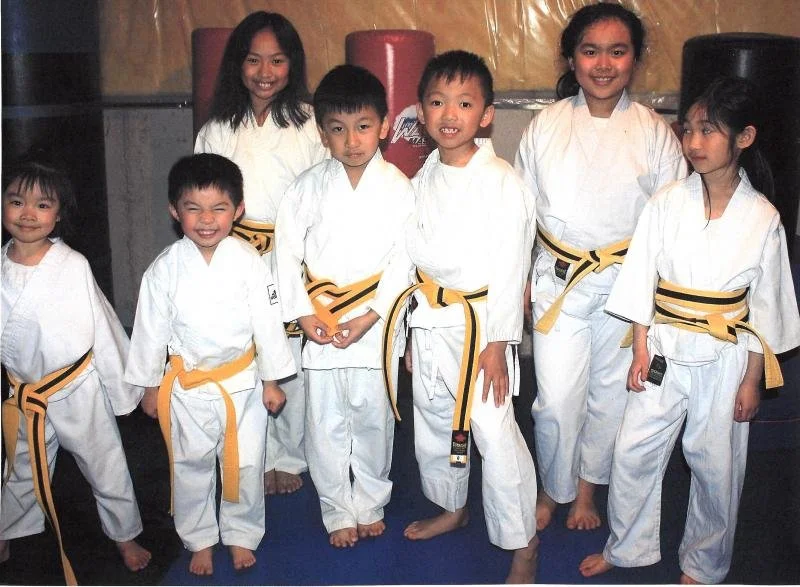 Dynamic Martial Arts Family Center facility image