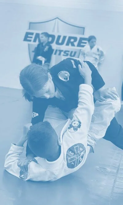 Endure Brazilian Jiujitsu Academy facility image