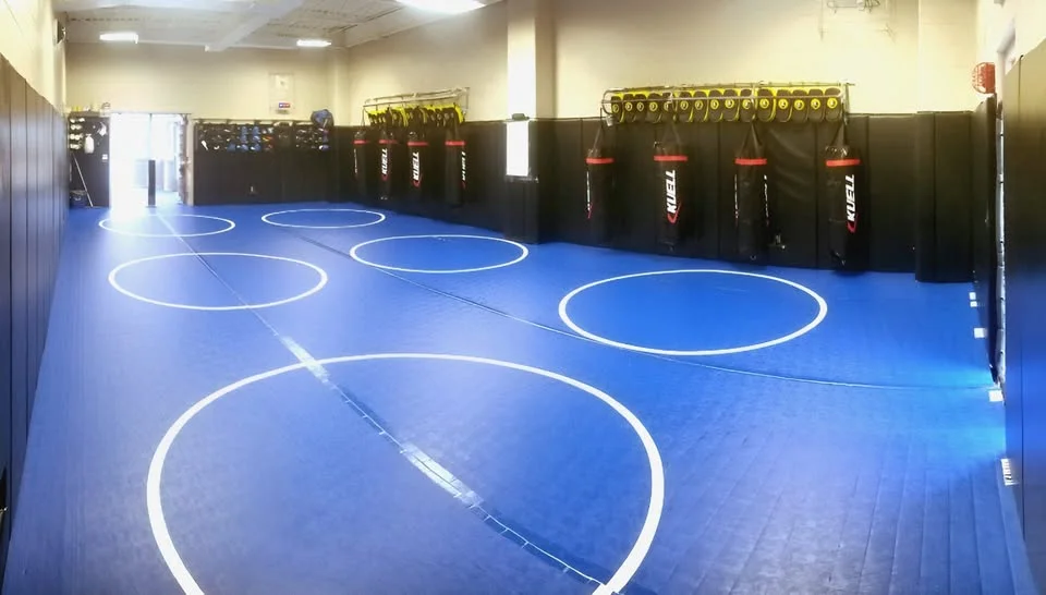 Frog Bridge MMA academy logo