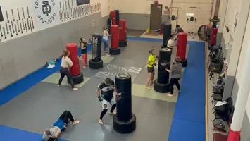 IPD Martial Arts academy photo
