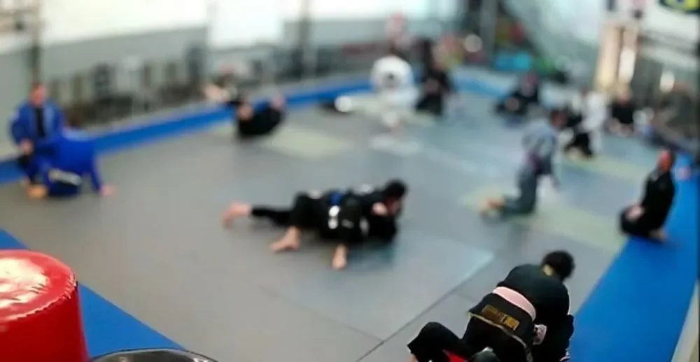 IPD Martial Arts academy photo