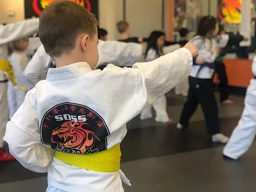 SDSS Martial Arts of West Hartford academy logo