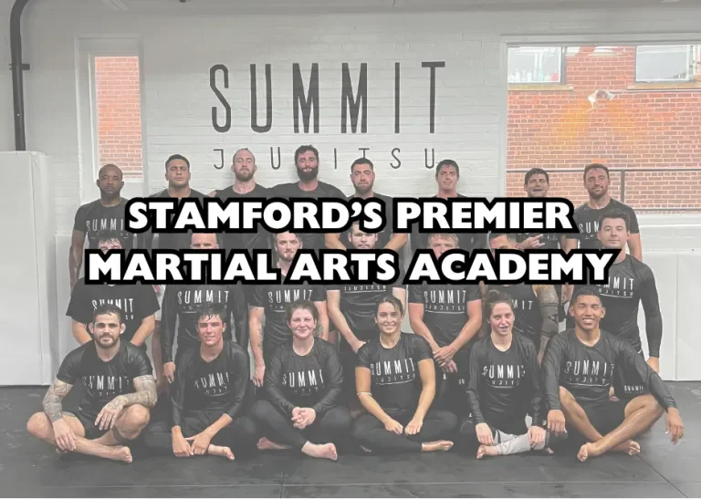 Summit JiuJitsu academy logo