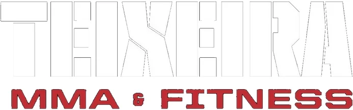 Teixeira MMA & Fitness visual
