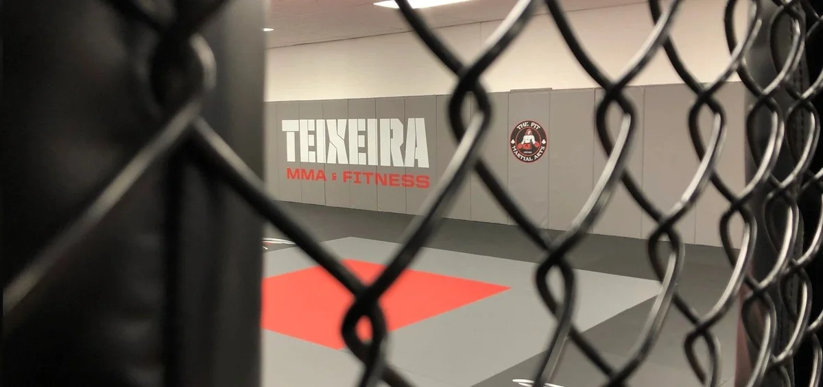 Teixeira MMA & Fitness academy photo