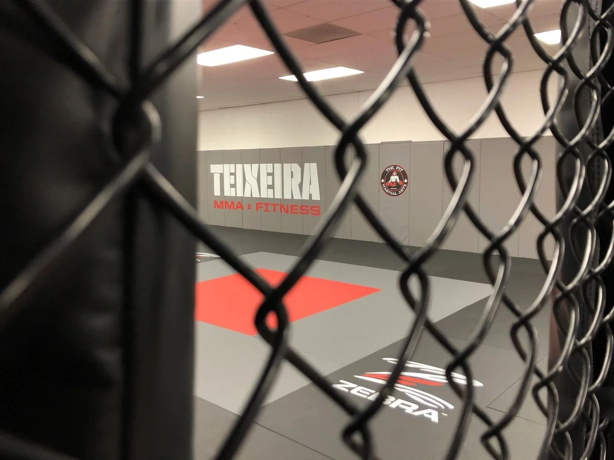 Teixeira MMA & Fitness academy photo